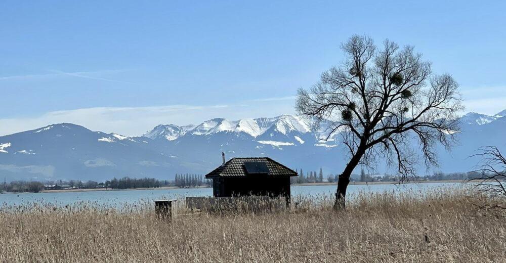 Bodensee Apartments, Sauna, Lake Walks, Free Parking, Self Checkin, Nature Reserve, Restaurants Nearby Gaissau  المظهر الخارجي الصورة